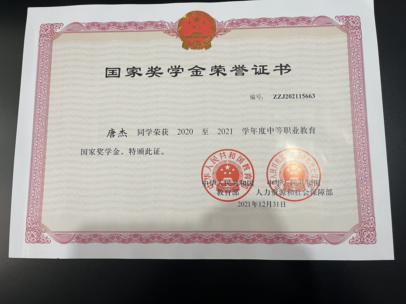 国家奖学金唐杰8.jpg